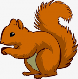 Happy Squirrel, Brown, Happy, Squirrel PNG Image and Clipart for ...