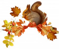 ForgetMeNot: autumn squirrels