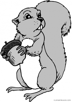 Grey Squirrel Clipart - ClipartBlack.com