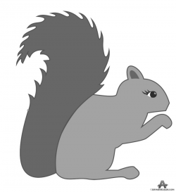 Squirrel Cartoon clipart - Cartoon, Head, Cat, transparent ...