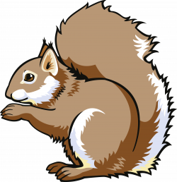 Eastern chipmunk Tree squirrels Clip art - squirrel 4289*4439 ...