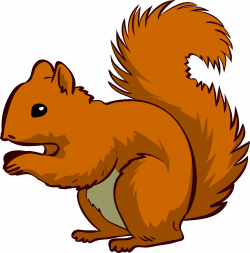 Squirrel Chipmunk Clip art - Happy Squirrel 1261*1280 transprent Png ...