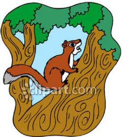 Squirrel Climbing A Tree - Royalty Free Clipart Picture