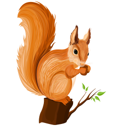 Chipmunk Squirrel Cartoon Illustration - squirrel 1000*1000 ...