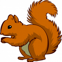 Squirrel Clipart easy - Free Clipart on Dumielauxepices.net