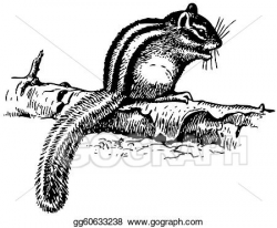 EPS Vector - Ground squirrel. Stock Clipart Illustration ...