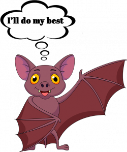 Bat Facts Experts Of Maine | Midcoast Wildlife Specialists