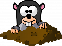 28+ Collection of Mole Hole Clipart | High quality, free cliparts ...