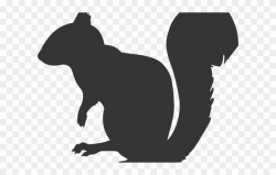 Gray Squirrel Clipart Jpeg - Png Download (#2612827 ...