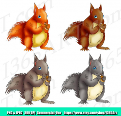 50% OFF Squirrels Clipart, Squirrel Clip art, Wildlife Clipart, Graphics,  Scrapbooking, Digital, Hand Drawn, Illustrations, PNG, Commercial
