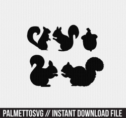 squirrel svg dxf jpeg png file instant download stencil monogram frame  silhouette cameo cricut clip art commercial use