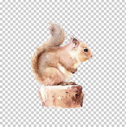 Chipmunk Squirrel Watercolor Painting PNG, Clipart, Animal ...