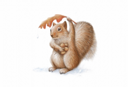 Art Watercolor Painting - Watercolor Squirrel Paint Free PNG ...