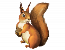 Chipmunk A Christmas Squirrel Clip art - squirrel 750*571 transprent ...