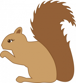 Squirrel Clipart transparent background - Free Clipart on ...