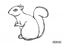 Squirrel black and white squirrel drawing clipart - WikiClipArt