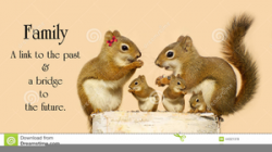 Clipart Squirrels | Free Images at Clker.com - vector clip ...