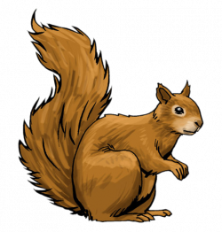 Squirrel Clipart – Gclipart.com