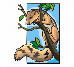 Free Squirrel Clipart - Squirrel In A Tree Clipart ...