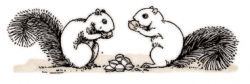 Squirrel black and white free two squirrels clipart 1 page ...