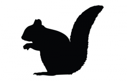 Squirrel silhouette vector | ANIMAL VECTOR GRAPHICS ...