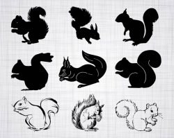 Squirrel SVG Bundle, Squirrel SVG, Squirrel Clipart, Cut Files For  Silhouette, Files for Cricut, Squirrel Vector, Svg, Dxf, Png, Eps, Design