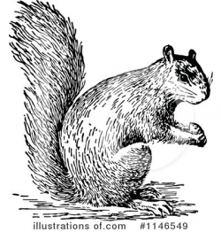Squirrel Clipart #1146549 - Illustration by Prawny Vintage
