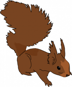 Squirrel Animal Clipart Pictures Royalty Free | Clipart Pictures Org