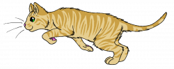 Gooseberry | Warrior Cat Wiki | FANDOM powered by Wikia