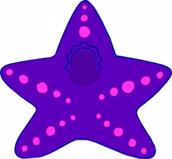 Starfish Costume | Club Penguin Wiki | FANDOM powered by Wikia