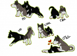 Siberian Husky Chibi Obedience Titles by Angiegsnz on DeviantArt