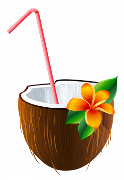 Exotic Coconut Cocktail PNG Clipart Image | Gallery Yopriceville ...