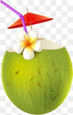 2019 的 Cartoon Coconut Juice, Cartoon Clipart, Coconut ...