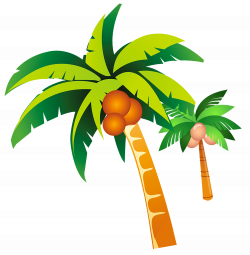 Summer Clip art - coconut tree png download - 2000*2041 ...