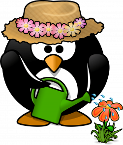 Livre Jardinagem Pinguim alta resolução Clip Art | Agito Jovens ...
