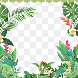 Summer Plant Png, Vector, PSD, and Clipart With Transparent ...