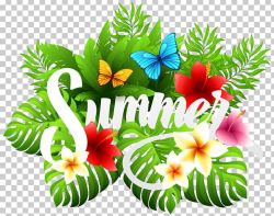 For Summer PNG, Clipart, Annual Plant, Clip Art, Clip Art ...
