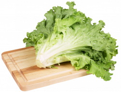 Green Salad Lettuce PNG Clip Art Image | Gallery Yopriceville ...