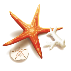 Stock illustration Clip art - Starfish and coral 1500*1500 ...