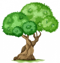 Tree PNG Clipart Picture | Pics/Words/PNG | Pinterest | Cards