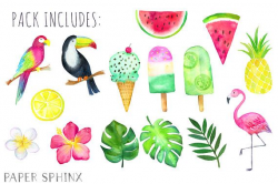 Watercolor Tropical Clipart | Tropical Summer - Toucan ...