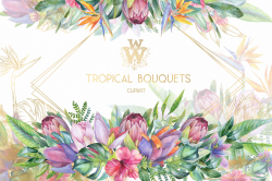 Watercolor tropical clip art, floral border clipart, summer ...
