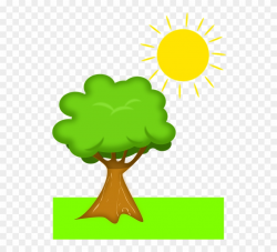 Tree Sun Scenery - Plant With Sunlight Clipart - Png ...