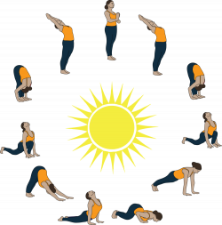Circulatory System and Sun Salutations — City Yoga Studio