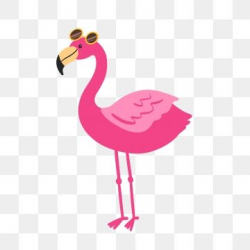 2019 的 Hand Drawn Cute Pink Flamingo With Sunglasses ...