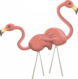 Cute flamingo clip art 3981050 - billigakontaktlinser.info