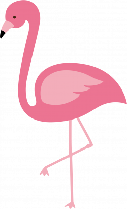 Flamingo Cartoon Group (69+)