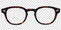 Moscot Sunglasses Eyewear Optician, tortoide transparent ...