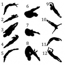 SWIM TEAM clip art black and white | Swimming 3 clip art - vector ...