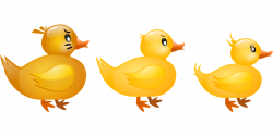 Baby Duck Clipart#4256281 - Shop of Clipart Library